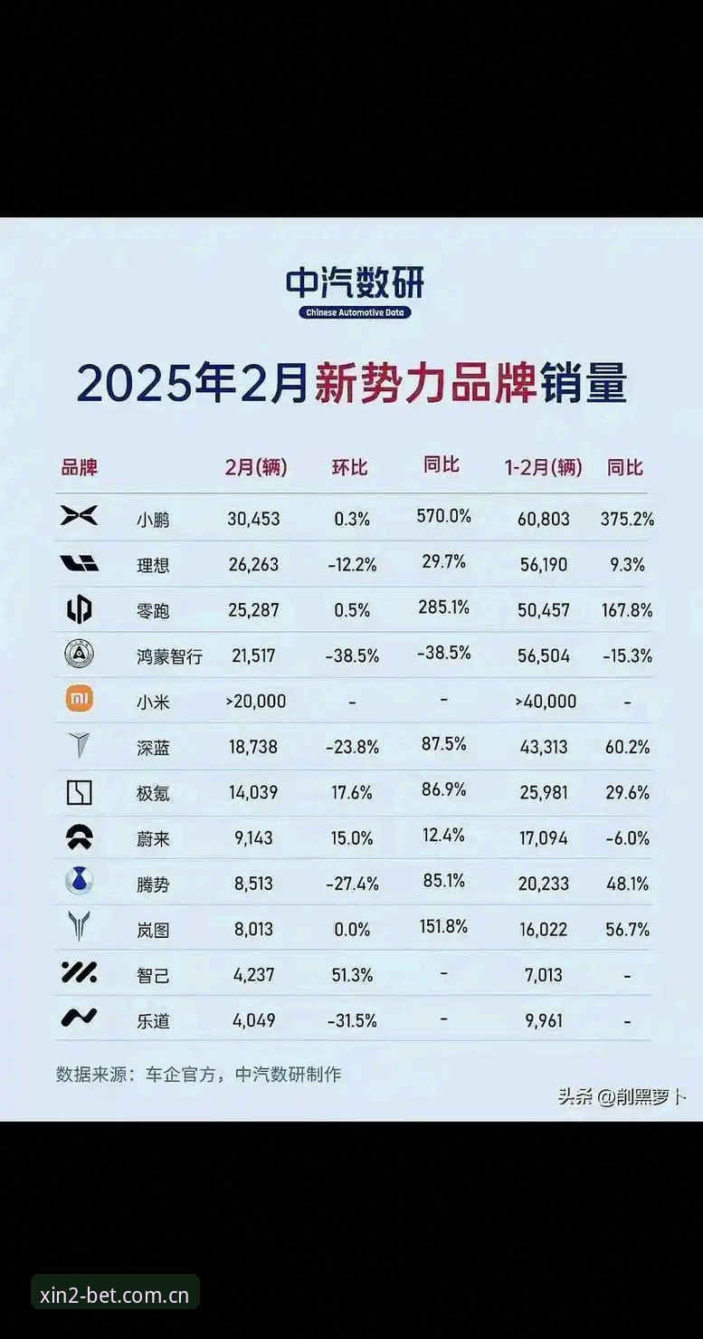 新2官网稳定访问实用指南：2025最新入口与代理平台评测